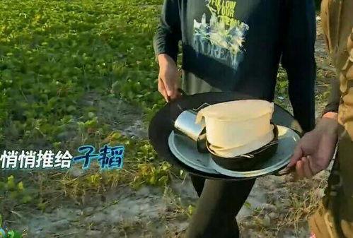 娱乐圈女艺人爆料石锤,揭秘娱乐圈背后的惊人真相  第3张