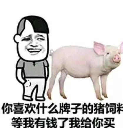 吃瓜网红小胖猪图片,网红美食新风尚 第2张 吃瓜网红小胖猪图片,网红美食新风尚 第2张